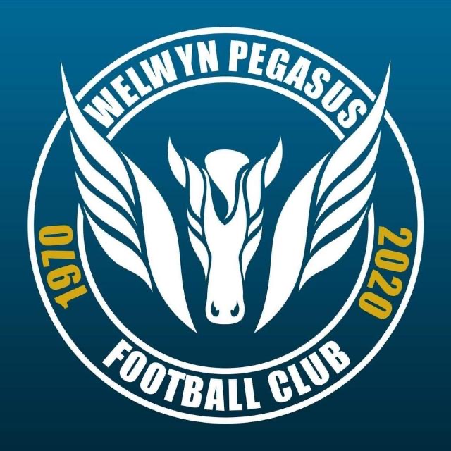 Wlewyn Pegasus FC